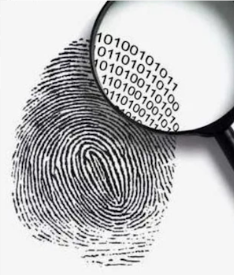 Em busca do streaming perfeito Em busca do streaming perfeito