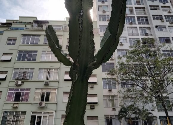 WhatsApp Image 2024-11-25 at 16.04.54