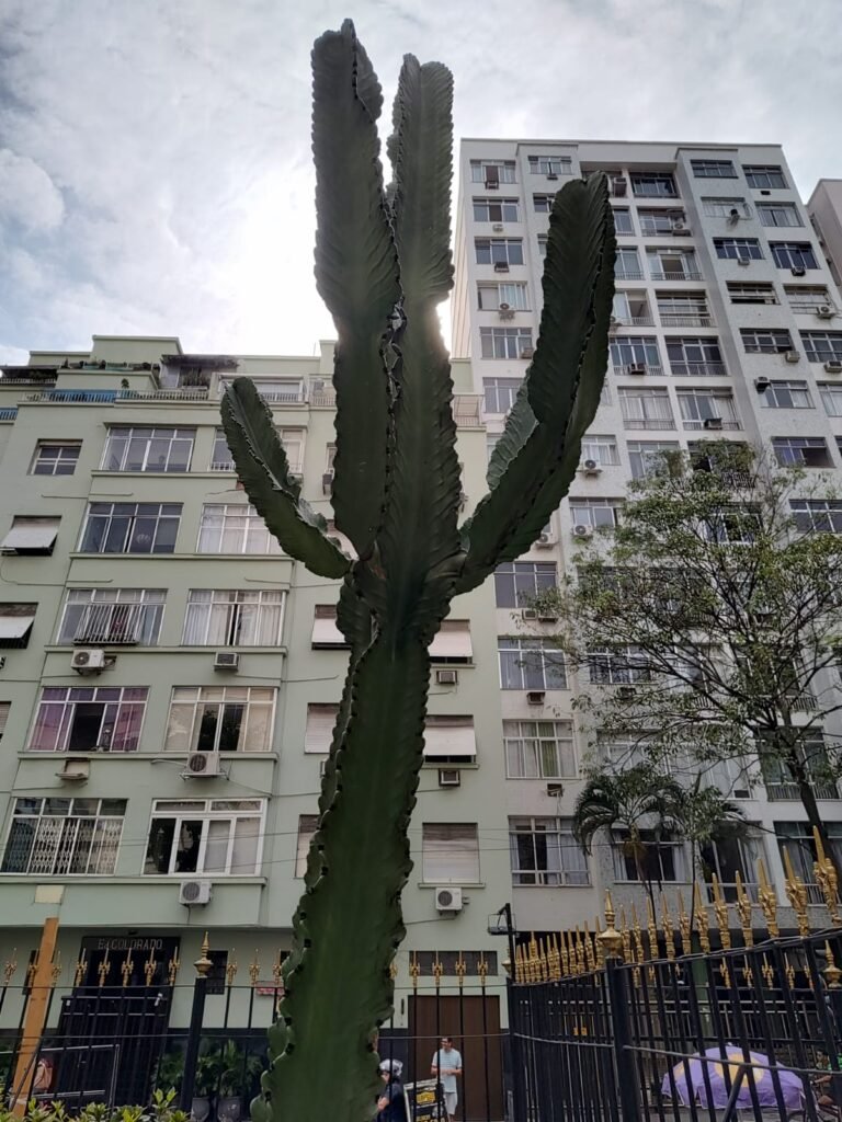 WhatsApp Image 2024-11-25 at 16.04.54