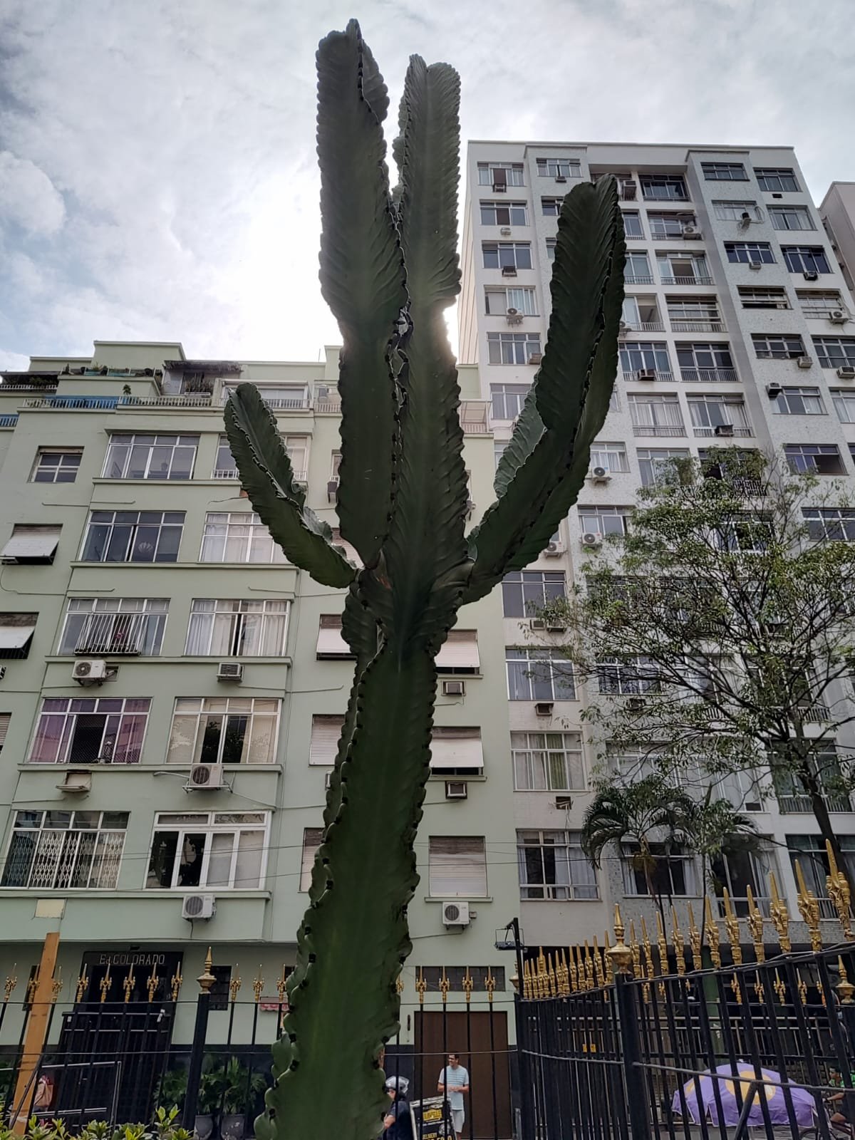 WhatsApp Image 2024-11-25 at 16.04.54