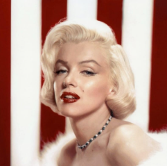 STAR QUALITY Captura de tela 2024-12-30 173442