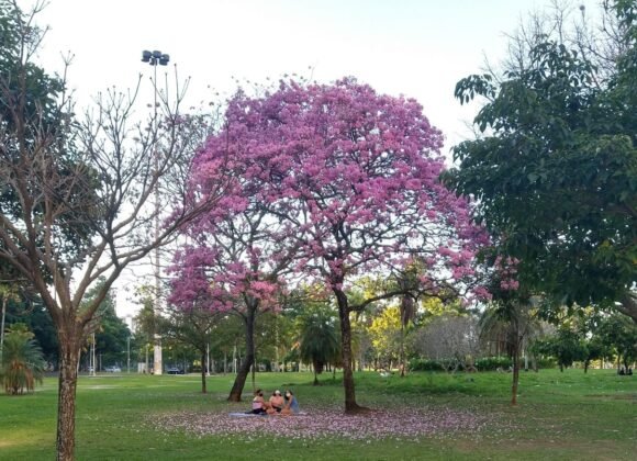 WhatsApp Image 2024-12-09 at 15.32.49