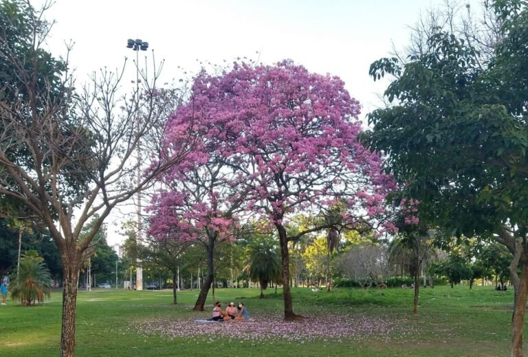 WhatsApp Image 2024-12-09 at 15.32.49