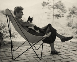 Captura de tela 2025-05-19 153939