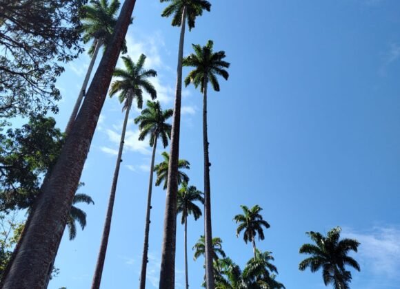 REFÉM DO TEMPO IMG-20250505-WA0004 (1)