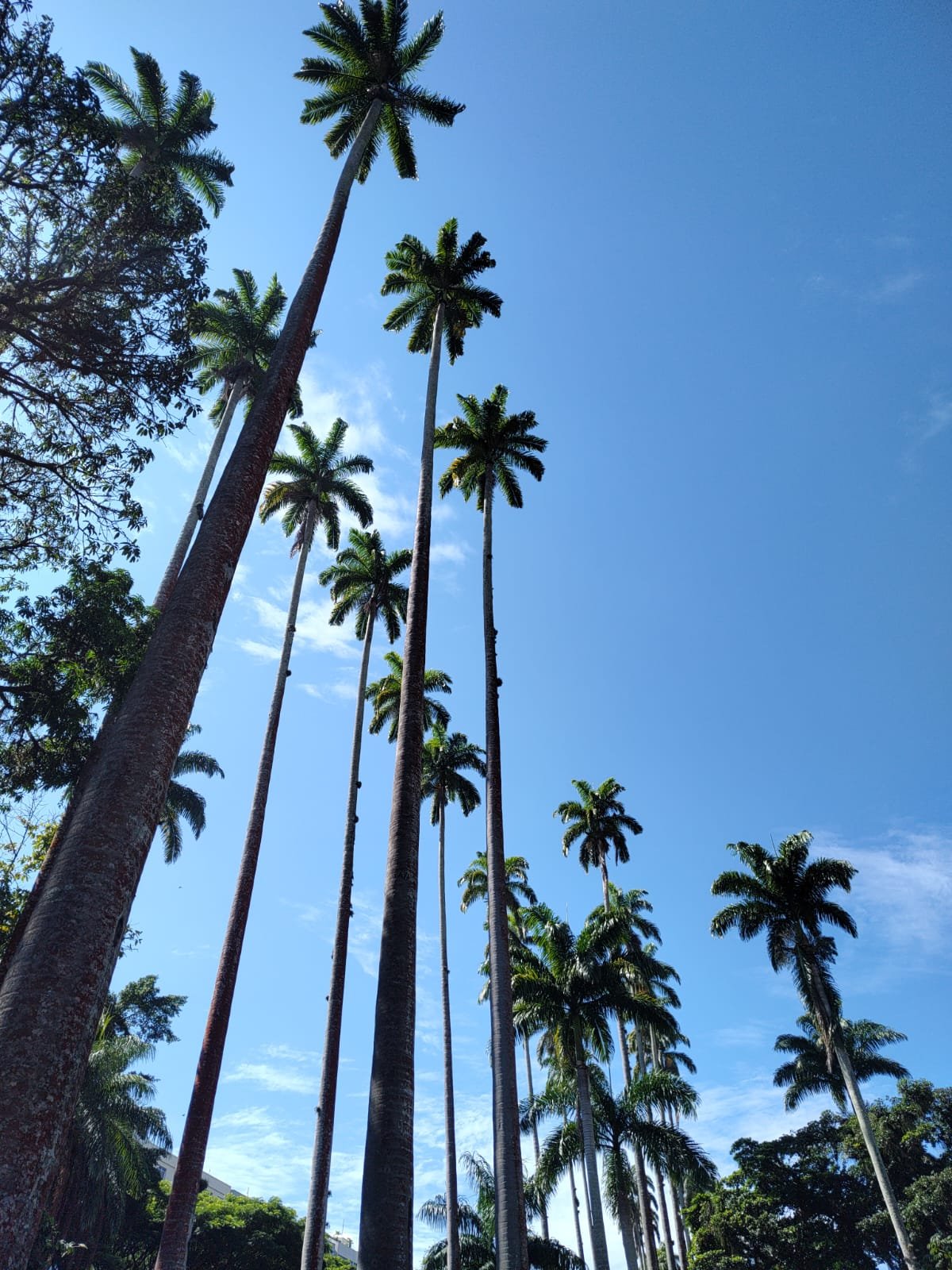 REFÉM DO TEMPO IMG-20250505-WA0004 (1)