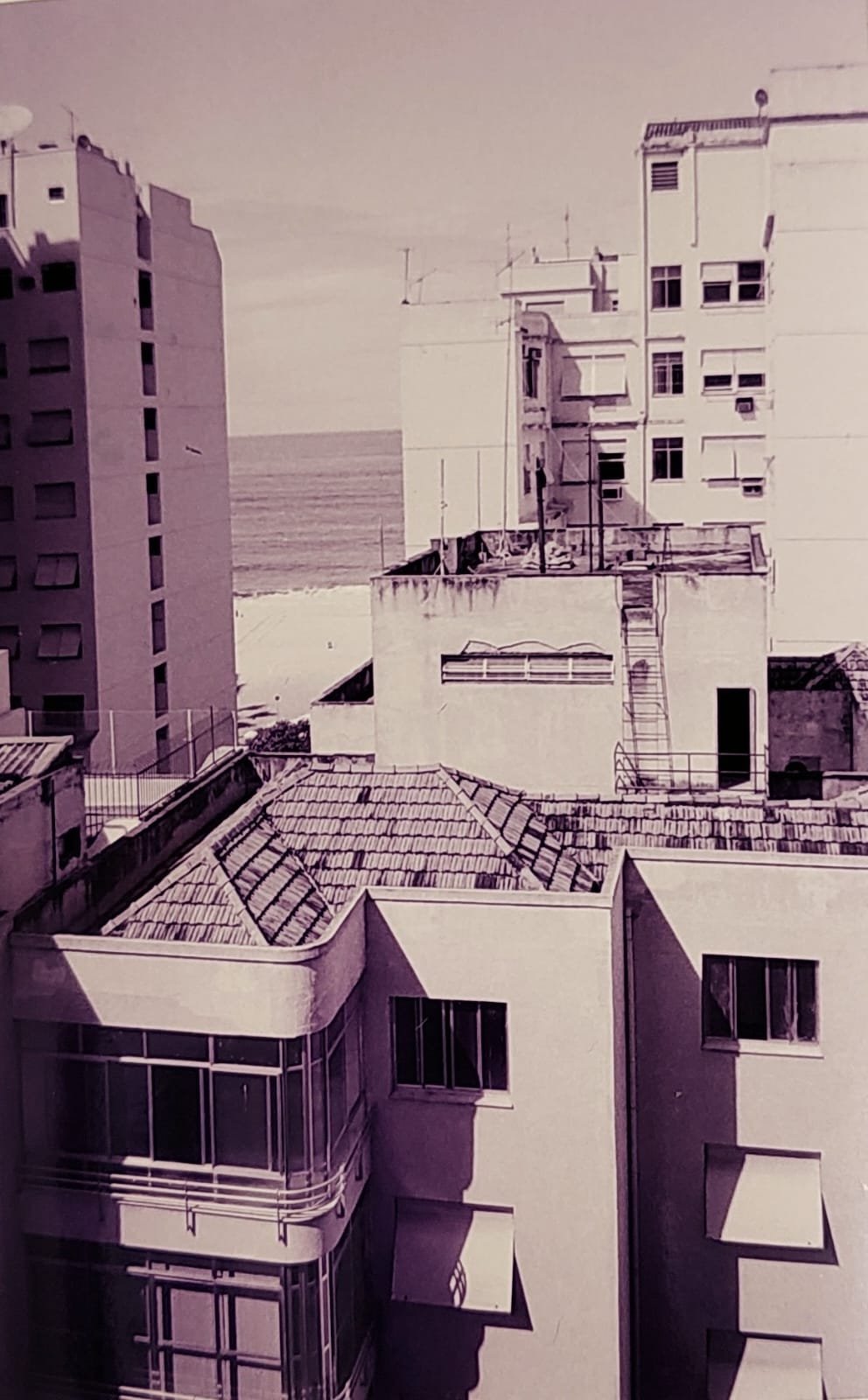 WhatsApp Image 2025-07-22 at 13.31.45