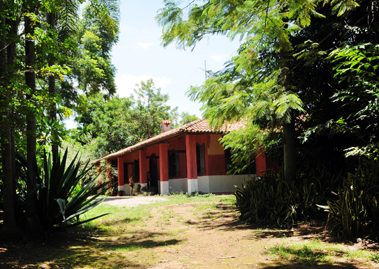 IDAS E VINDAS Capturar