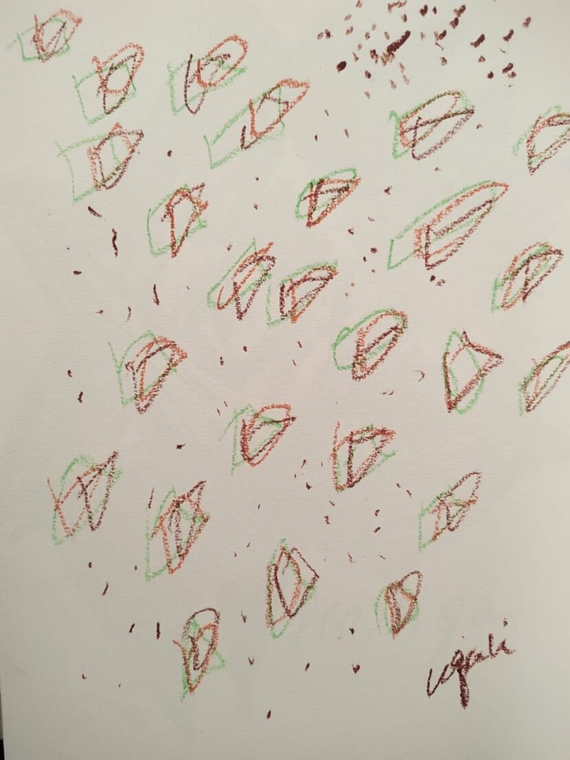 WhatsApp Image 2026-02-04 at 11.10.50