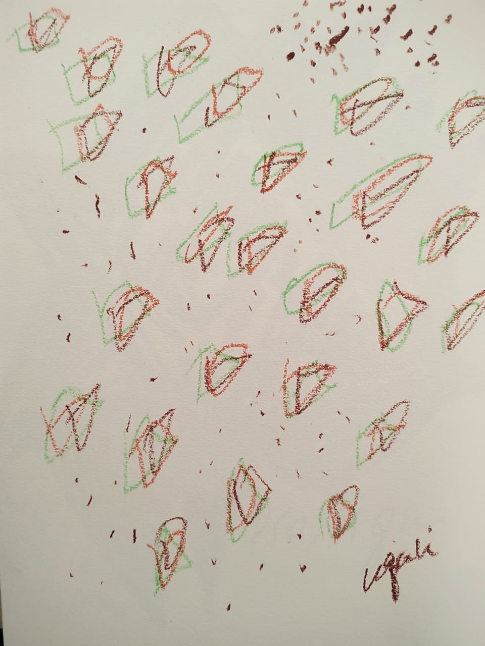 WhatsApp Image 2026-02-04 at 11.10.50